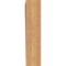 Ekena Millwork Thorton Traditional Smooth Bracket, Western Red Cedar, 5 1/2"W x 24"D x 24"H BKT06X24X24THR01SWR - alternate 3